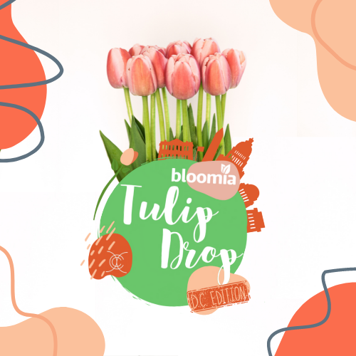 10 Stem Tulip Bunch