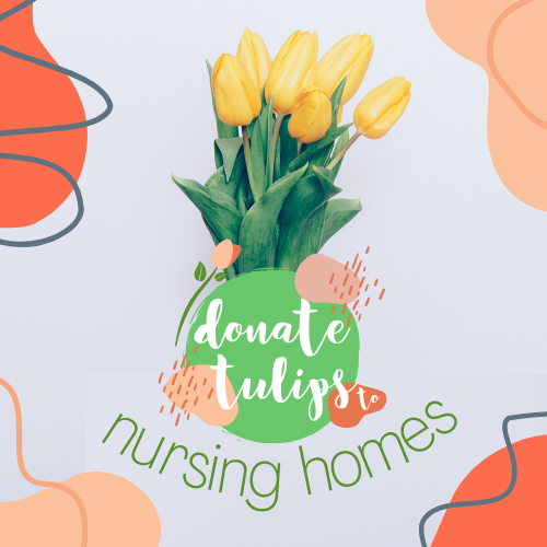 Donate Tulips to Nursing Homes